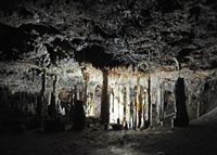 Caves Harpoons (Hams) in Mallorca - Hall of owls. Click to enlarge the image.
