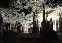 Caves Harpoons (Hams) in Mallorca - Hall of owls. Click to enlarge the image.