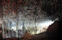 Caves Harpoons (Hams) in Mallorca - The "Dream of an Angel" room. Click to enlarge the image.