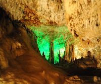 Caves Harpoons (Hams) in Mallorca - The "Living Images". Click to enlarge the image.