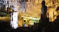 Caves Harpoons (Hams) in Mallorca - The "Living Images". Click to enlarge the image.