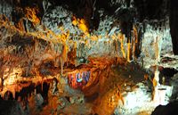 Caves Harpoons (Hams) in Mallorca - The "Valley of Earthly Delights". Click to enlarge the image.
