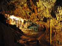 Caves Harpoons (Hams) in Mallorca - The "Magic City". Click to enlarge the image.