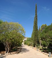 La finca Raixa à Majorque. Les jardins d'accès. Cliquer pour agrandir l'image.