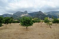 La ville de Bunyola à Majorque. Finca Francisca. Cliquer pour agrandir l'image.