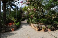 La ville de Bunyola à Majorque. Finca Francisca. Cliquer pour agrandir l'image.