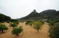 La ville de Bunyola à Majorque. Finca près de Bunyola. Cliquer pour agrandir l'image.
