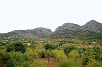La ville de Bunyola à Majorque. Cultures à Bunyola. Cliquer pour agrandir l'image.