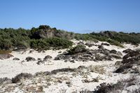 La ville de Campos à Majorque. Les dunes d'es Trenc (auteur Bogdan Giusca). Cliquer pour agrandir l'image.