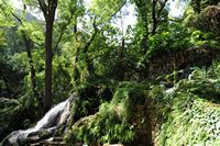 Sa Granja de Esporles à Majorque. Torrent. Cliquer pour agrandir l'image.