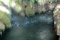 Sa Granja de Esporles à Majorque. Chute d'eau de l'ancien moulin à farine. Cliquer pour agrandir l'image.