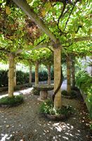 Sa Granja de Esporles à Majorque. Pergola. Cliquer pour agrandir l'image.
