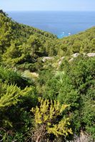 La ville d'Estellenc à Majorque. Mirador Ricardo Roca. Cliquer pour agrandir l'image.