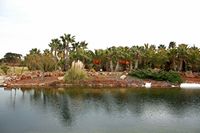 La ville de Ses Salines à Majorque. Le jardin botanique Botanicactus (auteur Frank Vincentz). Cliquer pour agrandir l'image.