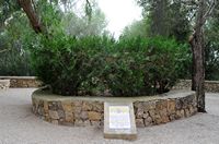 La finca Els Calderers de Sant Joan à Majorque. Cour d'Els Calderers. Cliquer pour agrandir l'image.