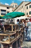 La ville de Sineu à Majorque. Le marché (auteur Lettkow). Cliquer pour agrandir l'image.
