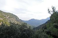 La ville de Sóller à Majorque. Col de soller. Cliquer pour agrandir l'image.