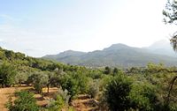 La ville de Sóller à Majorque. La commune de Soller. Cliquer pour agrandir l'image.