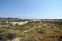 The island of Lobos in Fuerteventura. Las Lagunitas. Click to enlarge the image in Adobe Stock (new tab).