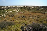 The island of Lobos in Fuerteventura. Las Lagunitas. Click to enlarge the image in Adobe Stock (new tab).