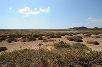 The island of Lobos in Fuerteventura. Las Tres Hermanas. Click to enlarge the image in Adobe Stock (new tab).