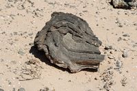 The island of Lobos in Fuerteventura. Fold washed. Click to enlarge the image in Adobe Stock (new tab).