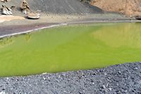 The village of El Golfo in Lanzarote. Green Lagoon. Click to enlarge the image in Adobe Stock (new tab).