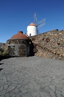 The Cactus Garden in Guatiza in Lanzarote. The Mill cactus garden. Click to enlarge the image in Adobe Stock (new tab).