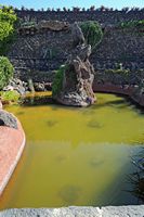 The collection of succulents Cactus Garden in Guatiza in Lanzarote. Pool. Click to enlarge the image in Adobe Stock (new tab).