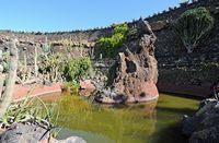 The collection of succulents Cactus Garden in Guatiza in Lanzarote. Pool. Click to enlarge the image in Adobe Stock (new tab).