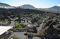 The Cactus Garden cactus collection in Guatiza in Lanzarote. The cactus garden in the old crater. Click to enlarge the image in Adobe Stock (new tab).