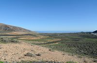 The village of Guatiza in Lanzarote. The hamlet of Los Cocoteros. Click to enlarge the image in Adobe Stock (new tab).