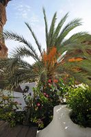 The village of Nazaret in Lanzarote. Balcony of the house of Omar Sharif. Click to enlarge the image in Adobe Stock (new tab).