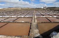 Le village de Las Salinas del Carmen à Fuerteventura. Les bassins de cristallisation (oeillets) des salines. Cliquer pour agrandir l'image dans Adobe Stock (nouvel onglet).