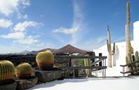 The village of Tahíche in Lanzarote. Terrace of the house of César Manrique. Click to enlarge the image in Adobe Stock (new tab).