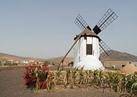 The village of Tiscamanita in Fuerteventura. Moulin. Click to enlarge the image in Adobe Stock (new tab).