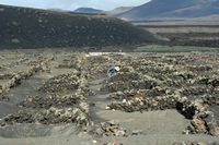 The village of Uga in Lanzarote. The work of the vine. Click to enlarge the image in Adobe Stock (new tab).