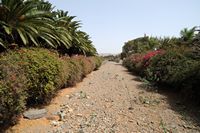 The town of Pájara in Fuerteventura. The ravine of Toto. Click to enlarge the image in Adobe Stock (new tab).