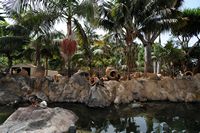 The town of Los Realejos in Tenerife. Garden, El Monasterio. Click to enlarge the image in Adobe Stock (new tab).