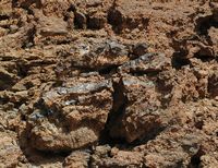 The Teide National Park in Tenerife. Obsidian Montaña Blanca. Click to enlarge the image.