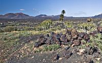 The Timanfaya National Park in Lanzarote. Click to enlarge the image.