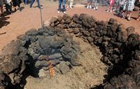 Timanfaya National Park in Lanzarote. Spontaneous Combustion bushes. Click to enlarge the image.