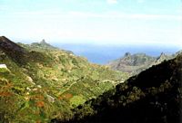 Le parc rural d'Anaga à Ténériffe. Près d'Igueste de San Andrés. Cliquer pour agrandir l'image.