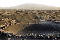 The village of La Geria in Lanzarote. Vines. Click to enlarge the image.