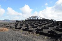 The village of La Geria in Lanzarote. La Bodega La Geria. Click to enlarge the image.