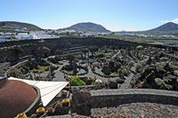 The Cactus Garden in Guatiza in Lanzarote. The cactus garden in the old crater. Click to enlarge the image.