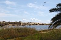 The village of Maspalomas in Gran Canaria. Avian area of La Charca. Click to enlarge the image.