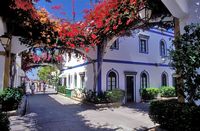 The village of Puerto de Mogán in Gran Canaria. Click to enlarge the image.