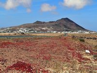 The village of Sóo in Lanzarote. La Caldera Trasera. Click to enlarge the image.