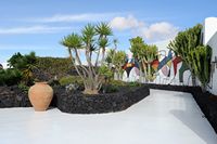The village of Tahíche in Lanzarote. Garden César Manrique. Click to enlarge the image.